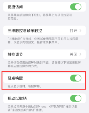 湛河苹果授权维修站分享iPhone轻点无法唤醒怎么办 