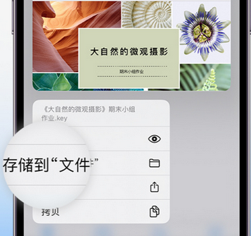 湛河apple维修中心分享iPhone文件应用中存储和找到下载文件