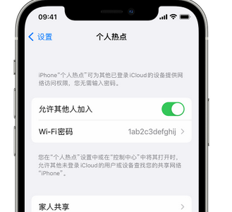 湛河apple服务站点分享iPhone上个人热点丢失了怎么办 