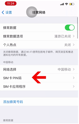 湛河苹果14维修网分享如何给iPhone14的SIM卡设置密码 