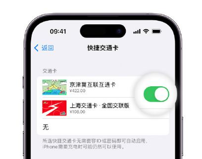 湛河apple维修点分享iPhone上更换Apple Pay快捷交通卡手绘卡面 