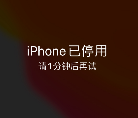 湛河苹果手机维修分享:iPhone 显示“不可用”或“已停用”怎么办？还能保留数据吗？ 