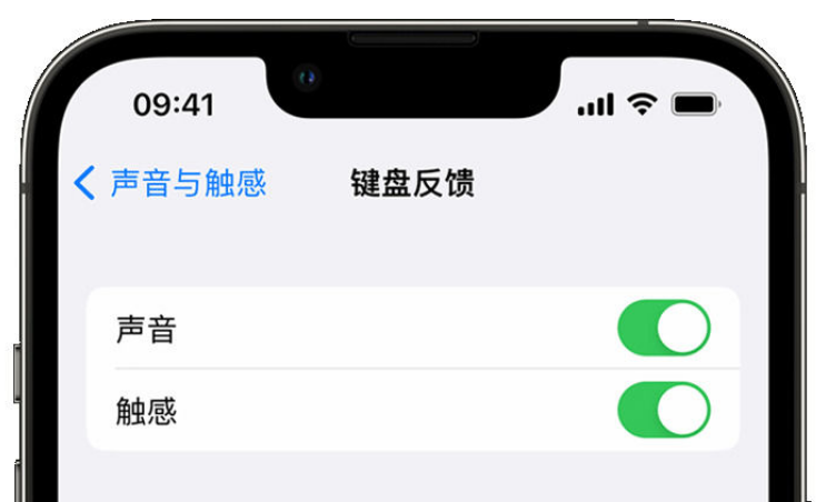 湛河苹果手机维修分享iPhone 14触感键盘使用方法 