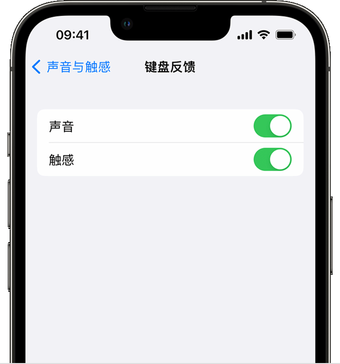 湛河苹果14维修店分享如何在 iPhone 14 机型中使用触感键盘 