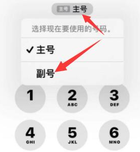 湛河苹果14维修店分享iPhone 14 Pro Max使用副卡打电话的方法 