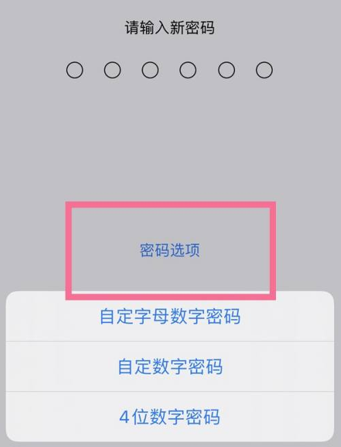 湛河苹果14维修分享iPhone 14plus设置密码的方法 