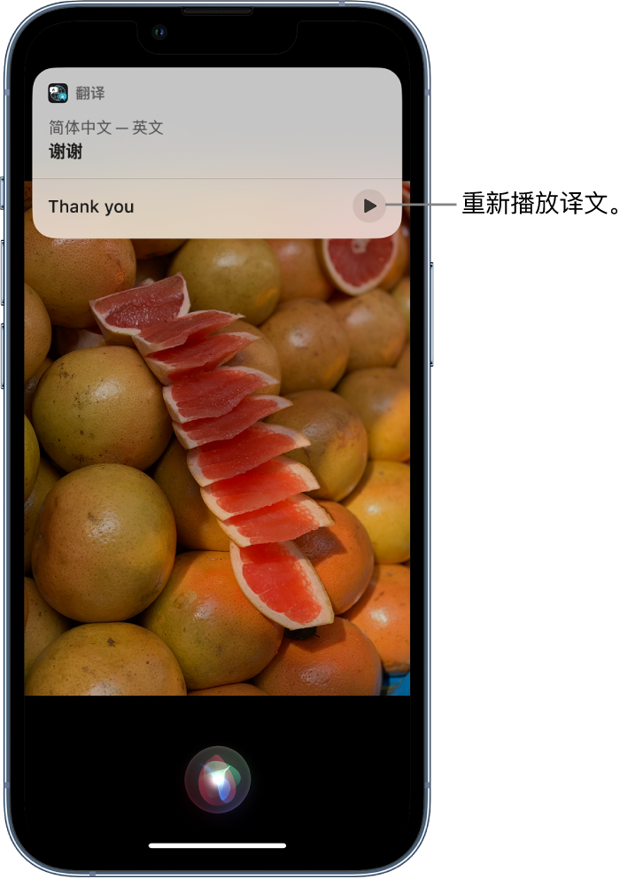 湛河苹果14维修分享 iPhone 14 机型中使用 Siri：了解 Siri 能帮你做什么 