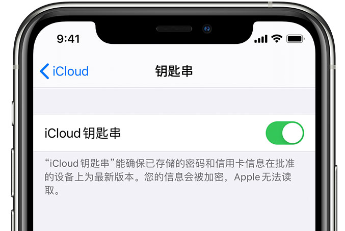 湛河苹果手机维修分享在 iPhone 上开启 iCloud 钥匙串之后会储存哪些信息 