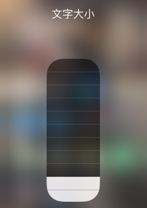 湛河苹果手机维修分享小技巧：在 iPhone 控制中心快速调节字体大小 