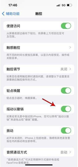 湛河苹果手机维修分享iPhone手机如何设置摇一摇删除文字 