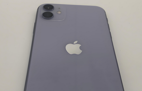 湛河苹果11系统维修分享iPhone11手机系统崩溃无法开机如何解决 