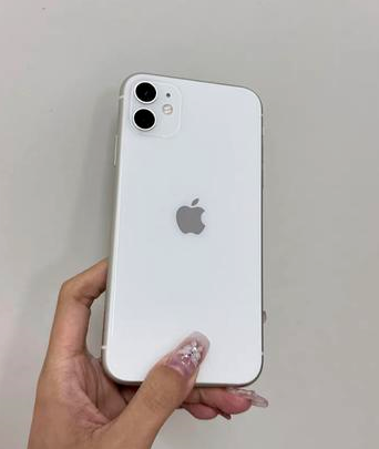 湛河苹果维修点分享iPhone 11黑屏特殊场景解析 