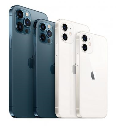 湛河苹果维修点分享iPhone 12 Pro黑屏小众问题解析 
